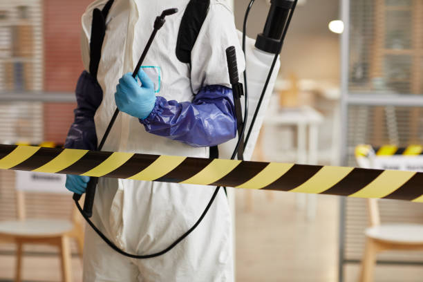 Professional Hoarding Cleanup technician working in Coral, MI